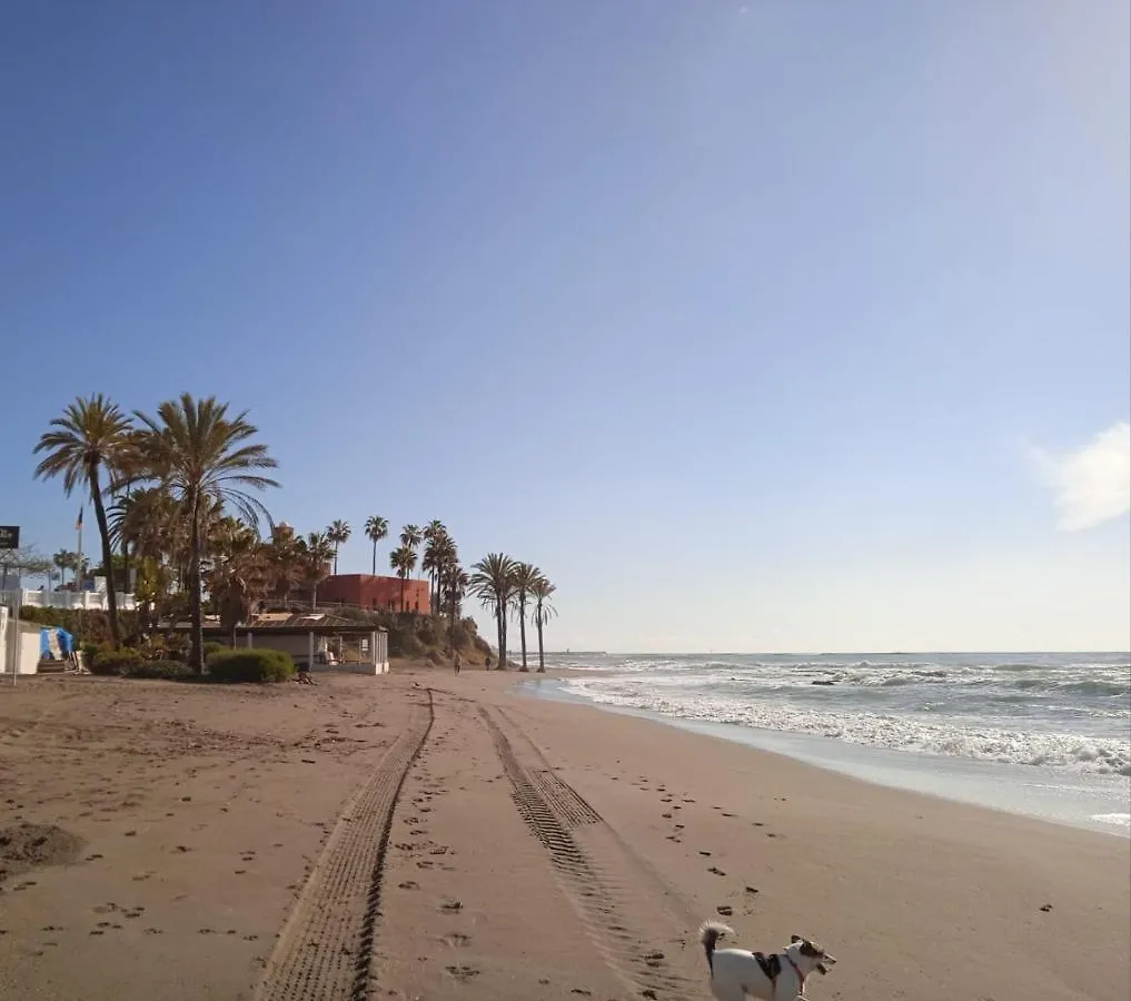 Studio In Costa Del Sol Benalmadena 0*,  Spain